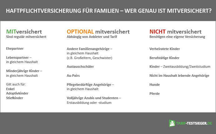 Grafik zeigt mögliche Personen in der Familienhaftpflicht