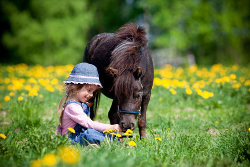 Mädchen sitzt im Gras und streichelt ihr Pony