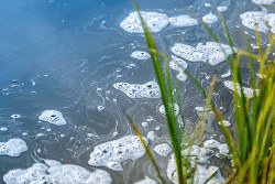 Verschmutztes Wasser